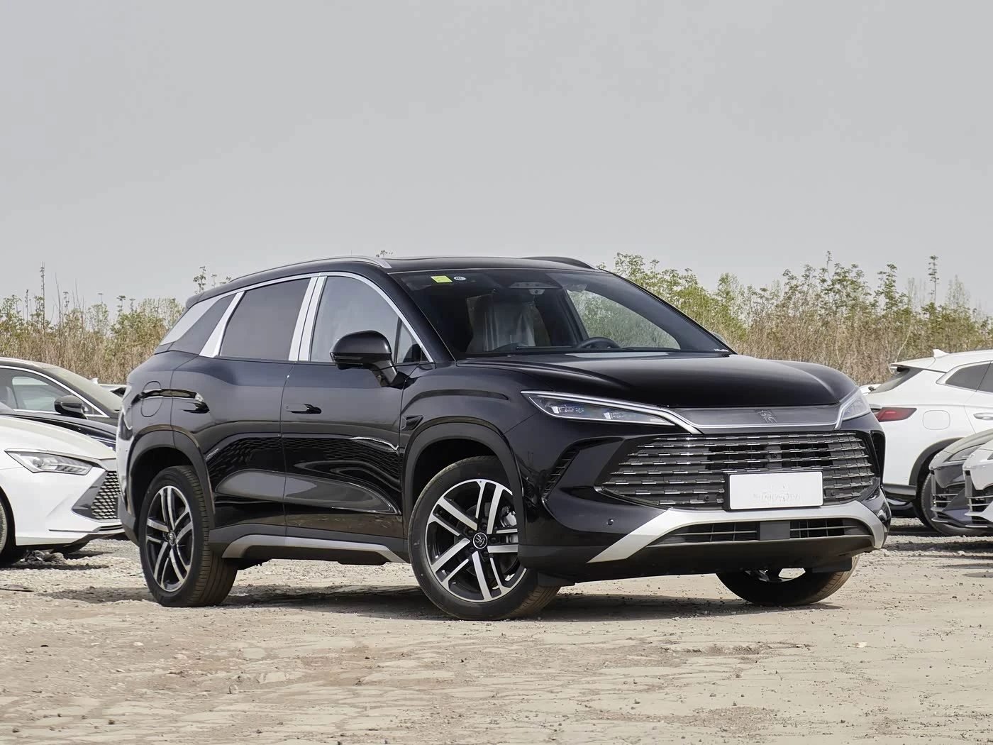 SONG L DM-i 2025 Intelligent-Drive Version 112KM Leading