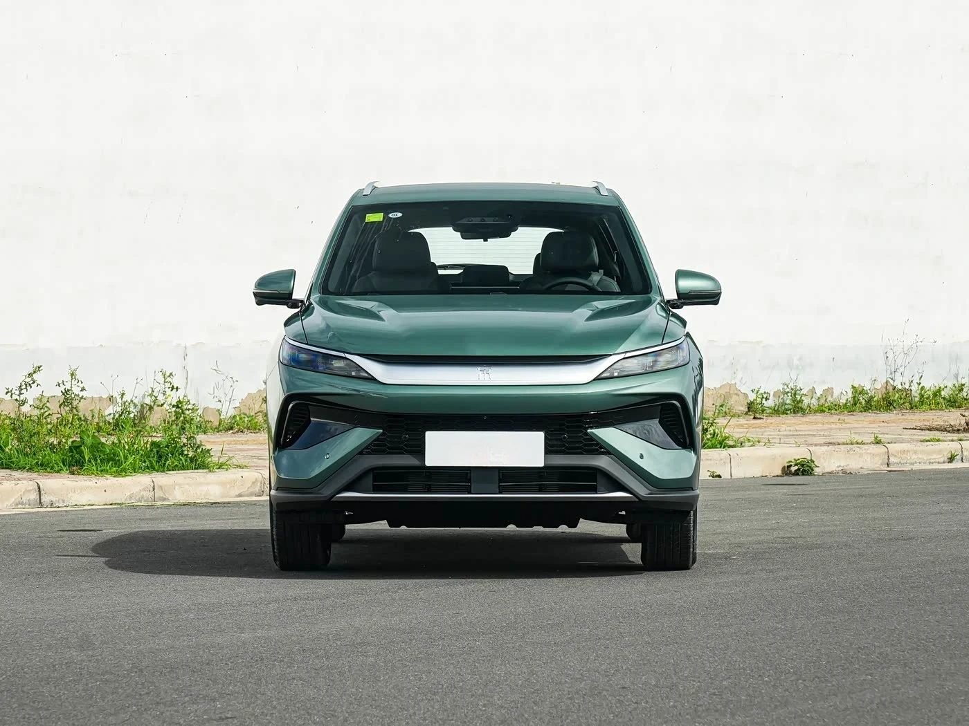 SONG PRO NEW ENERGY 2026 DM-i 133KM Beyond