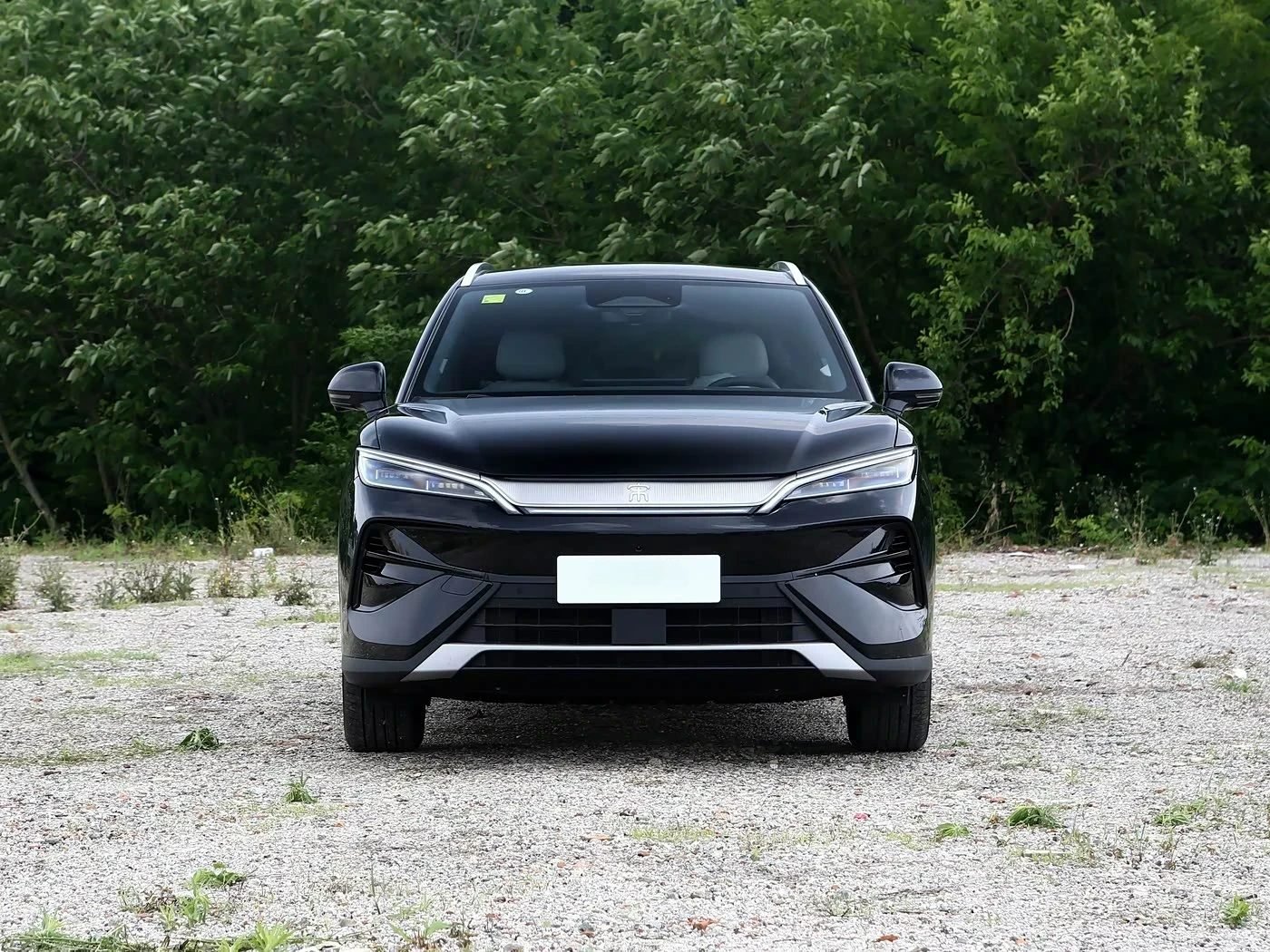 SONG ULTRA 2026 EV 710KM Excellence